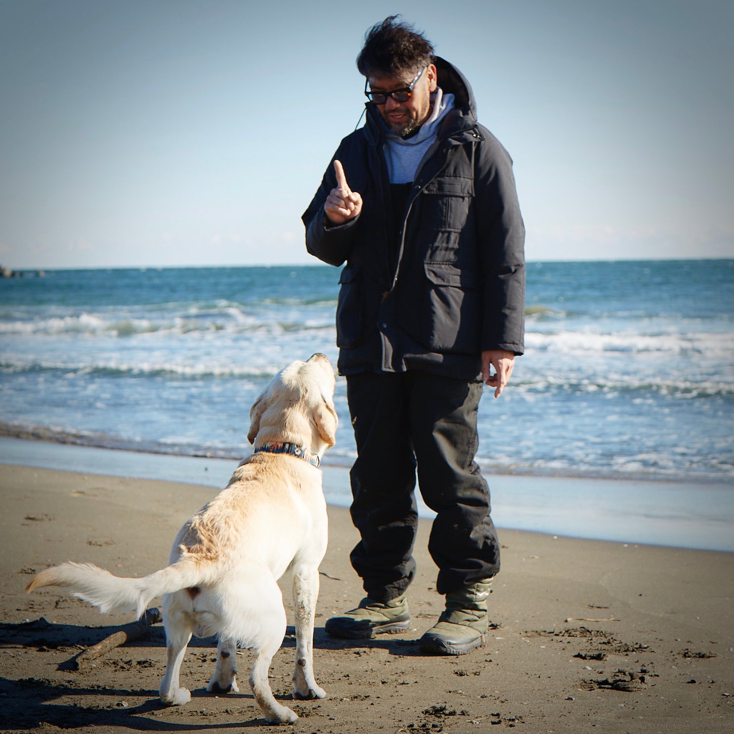 愛犬用 エゾシカ パーフェクト ミンチキューブ300g